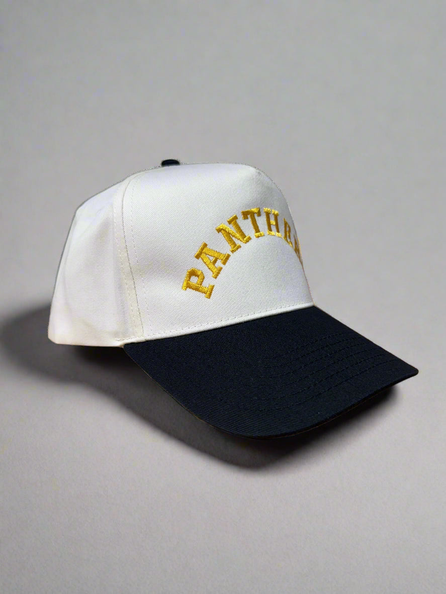Vintage "PANTHERS" Five-Panel Twill Hat