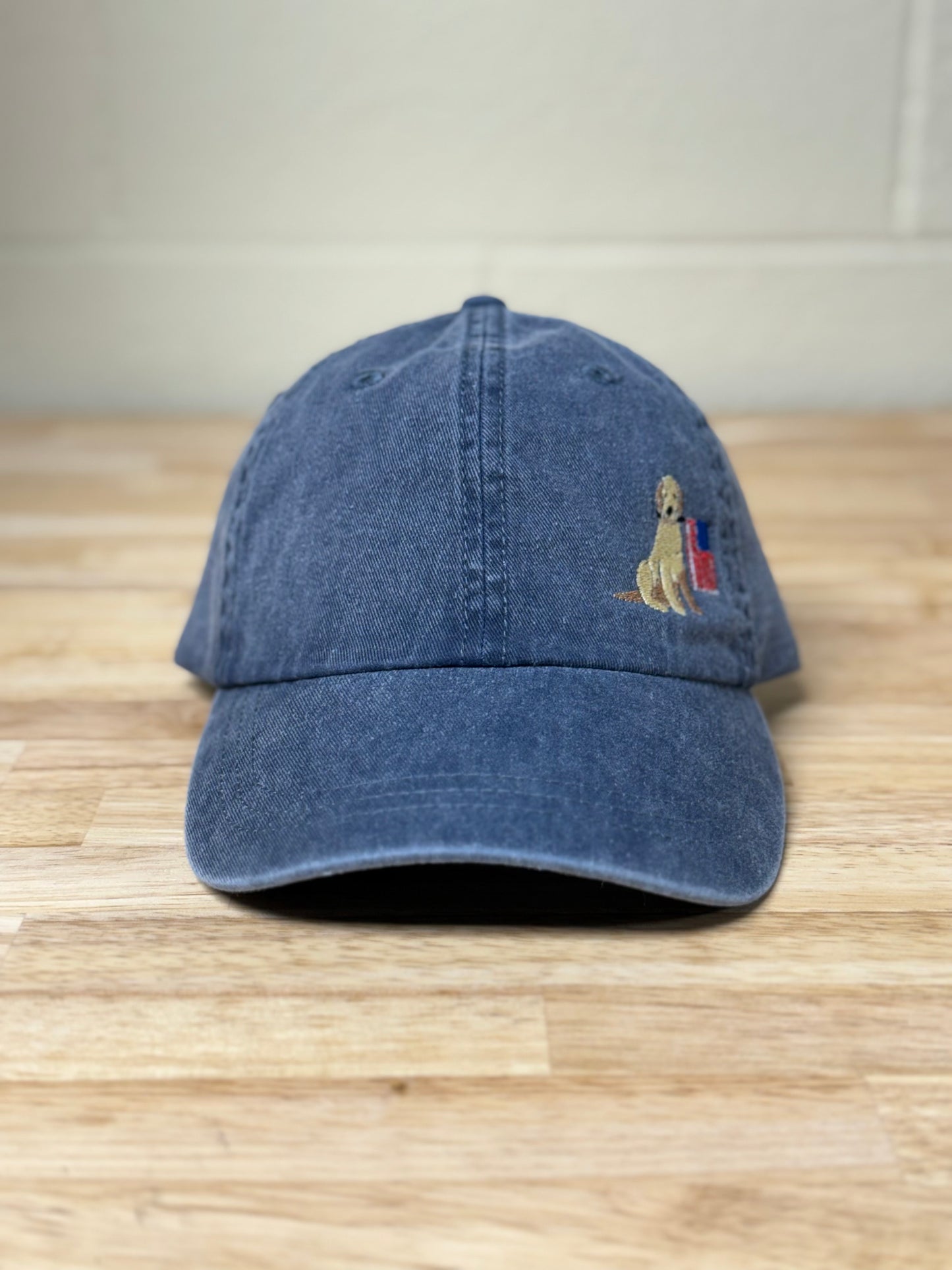 4th of July Dog Hat